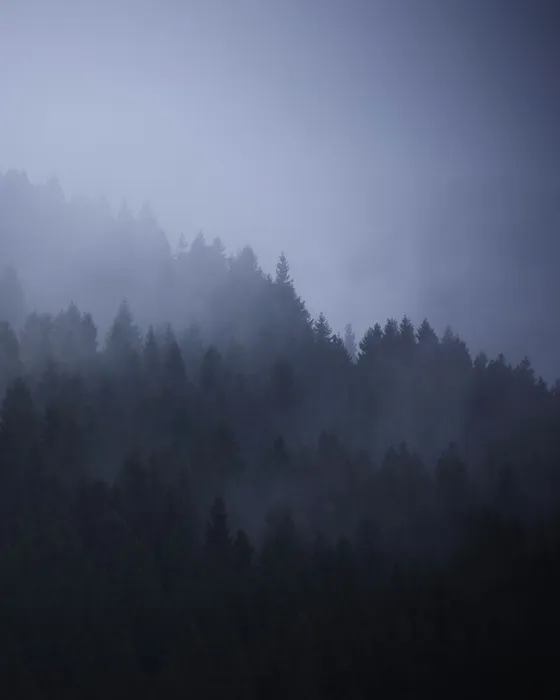 Uncaged Wilderness — photo 36