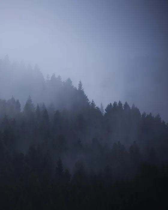Uncaged Wilderness — photo 37